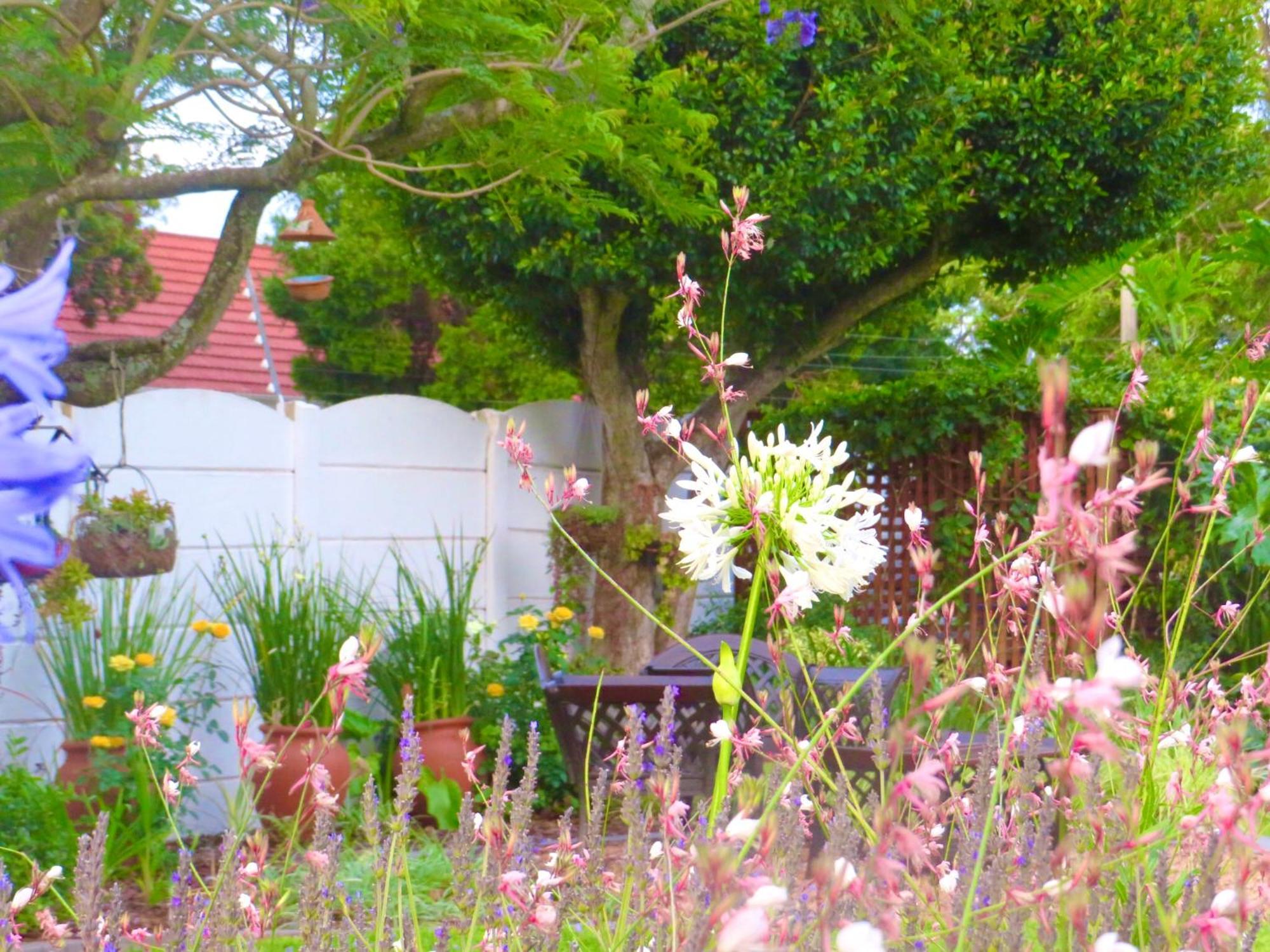 Whistlewood Guesthouse Walmer, Port Eizabeth Πορτ Ελίζαμπεθ Εξωτερικό φωτογραφία