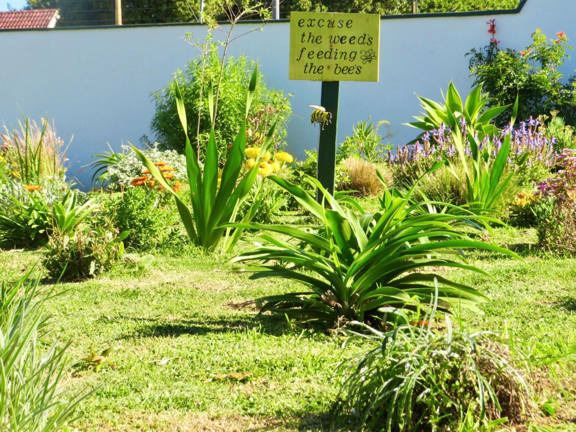 Whistlewood Guesthouse Walmer, Port Eizabeth Πορτ Ελίζαμπεθ Εξωτερικό φωτογραφία